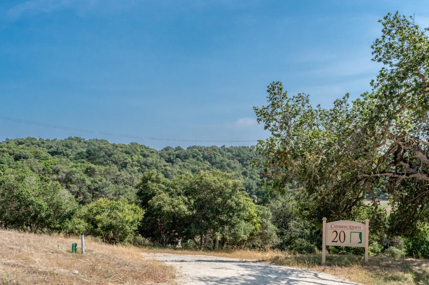 Front Image Thumbnail for ML81890699