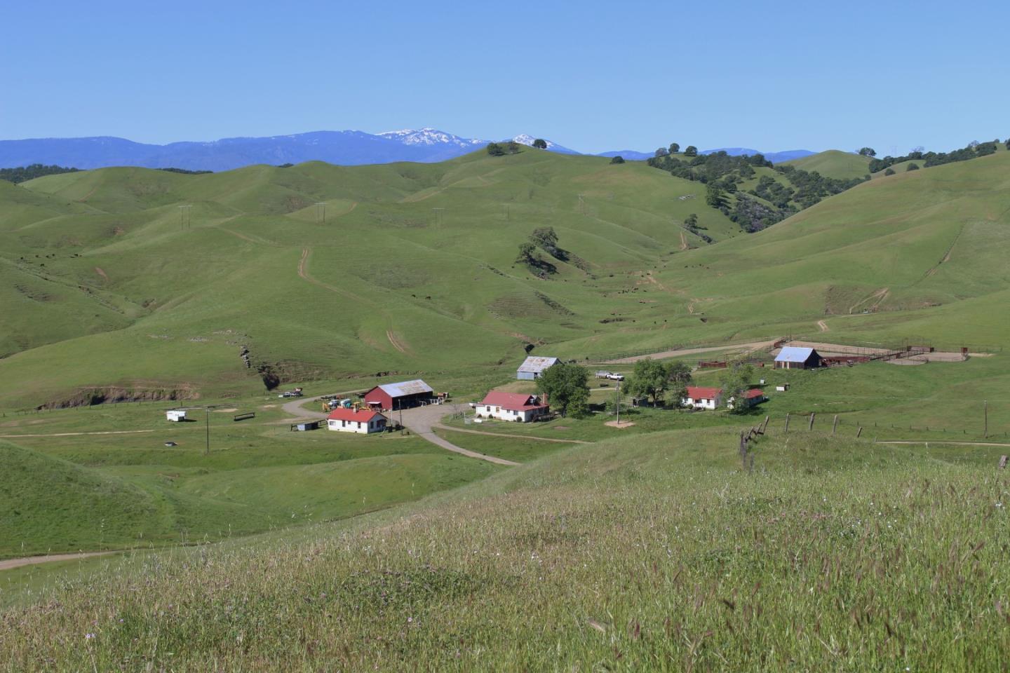 Front Image Thumbnail for ML81909791