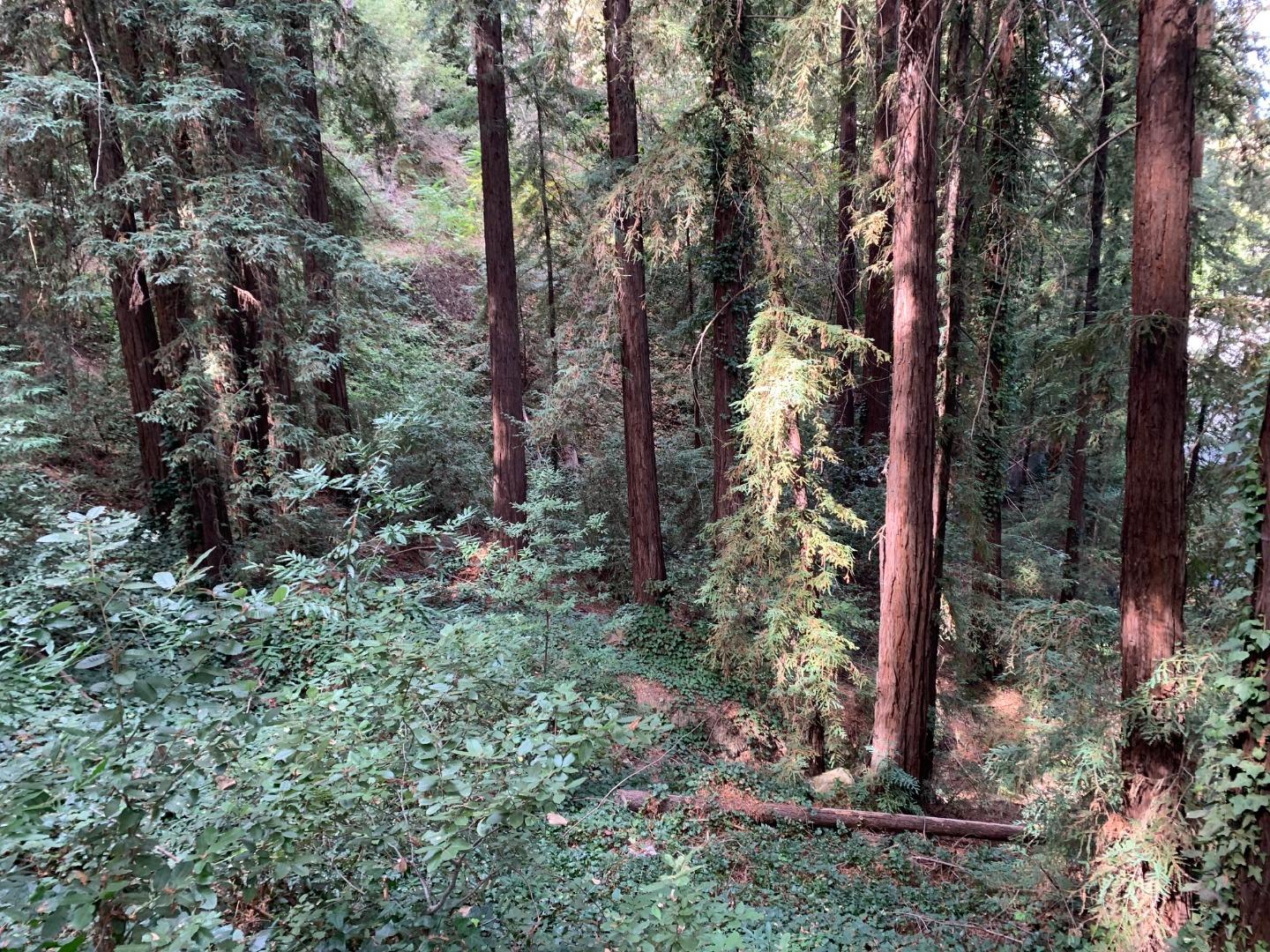 Front Image Thumbnail for ML81912347