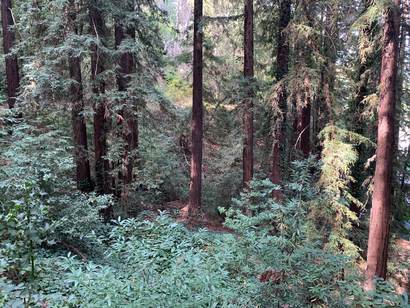 Front Image Thumbnail for ML81912636