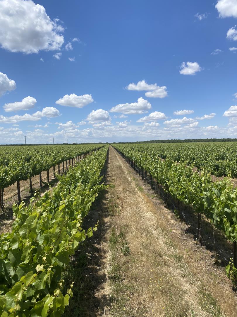 Front Image Thumbnail for ML81916456