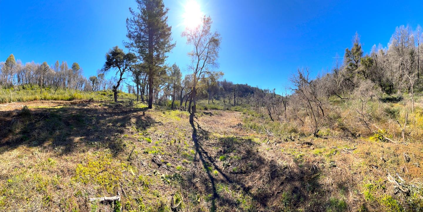 Front Image Thumbnail for ML81922831