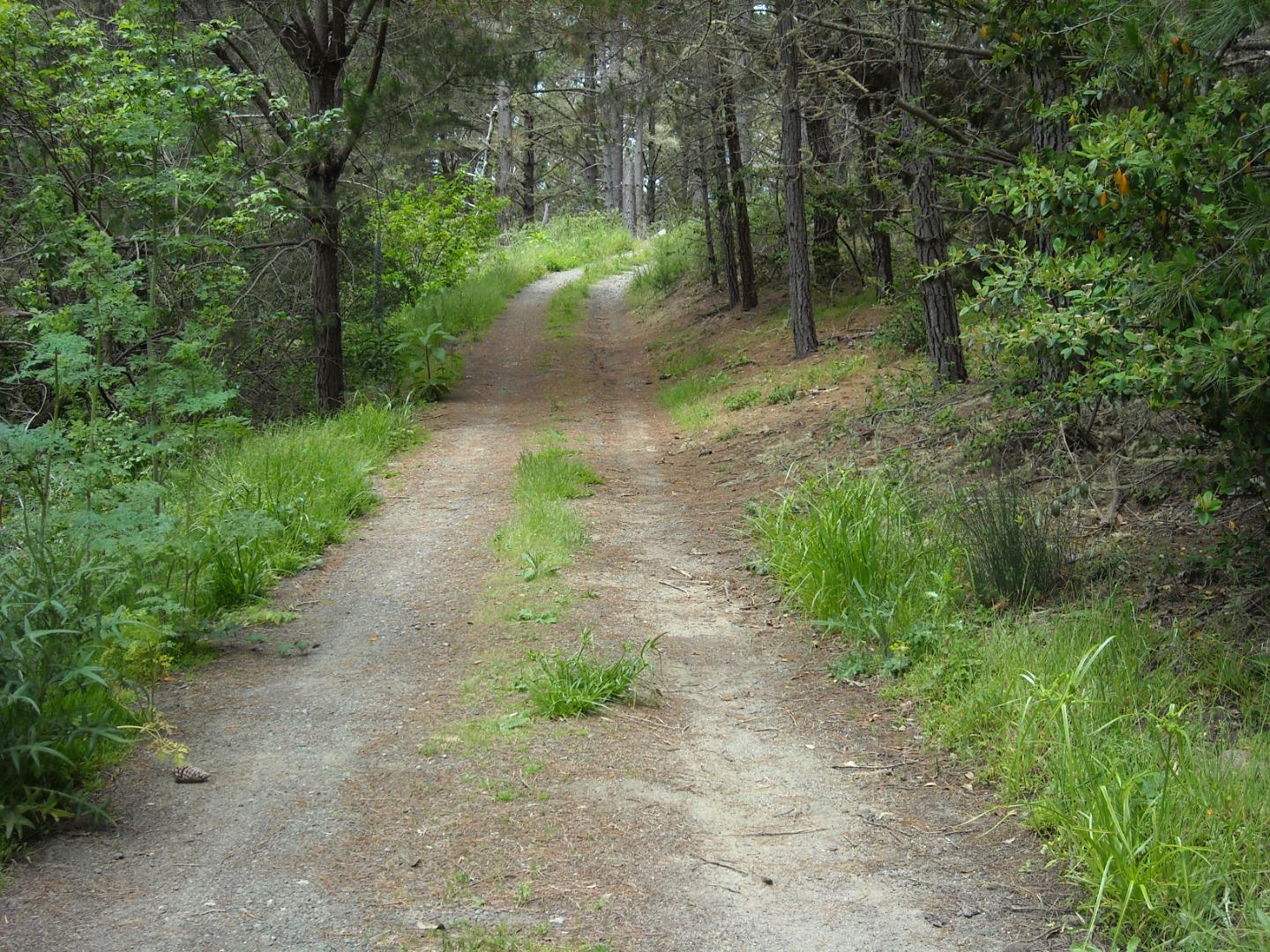 Front Image Thumbnail for ML81930827