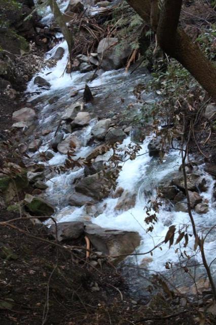 Front Image Thumbnail for ML81931175