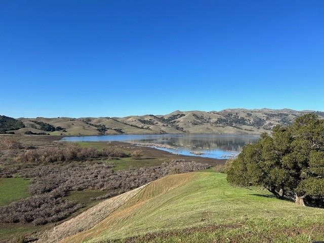 Front Image Thumbnail for ML81951221