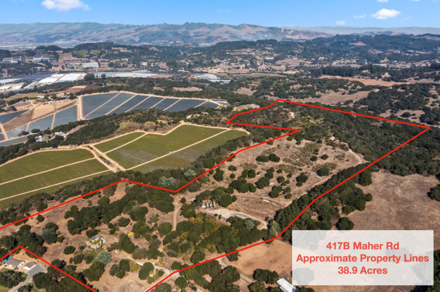 Front Image Thumbnail for ML81952636