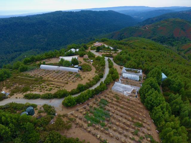 Front Image Thumbnail for ML81953193