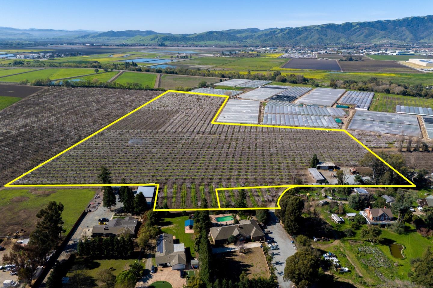 Front Image Thumbnail for ML81958289