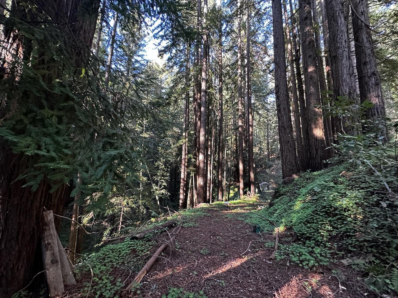 Front Image Thumbnail for ML81961104