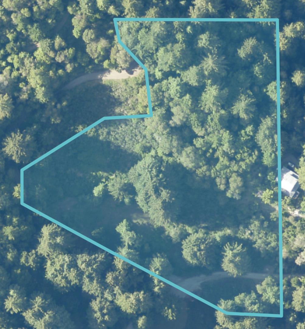 Front Image Thumbnail for ML81966940