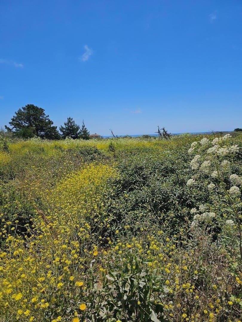 Front Image Thumbnail for ML81971865