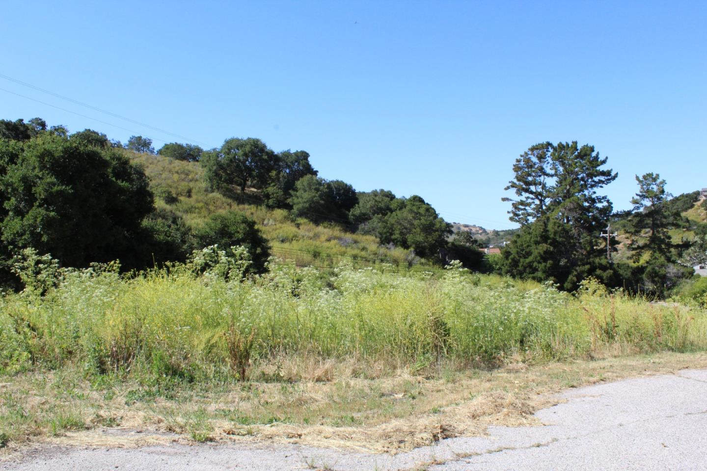 Front Image Thumbnail for ML81972406