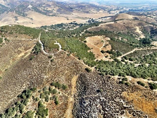 Front Image Thumbnail for ML81974476