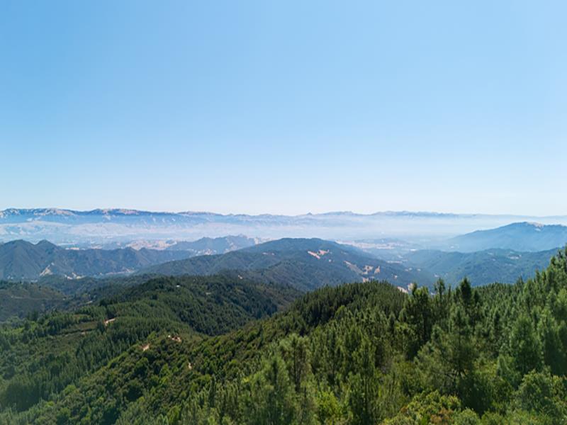 Front Image Thumbnail for ML81974867