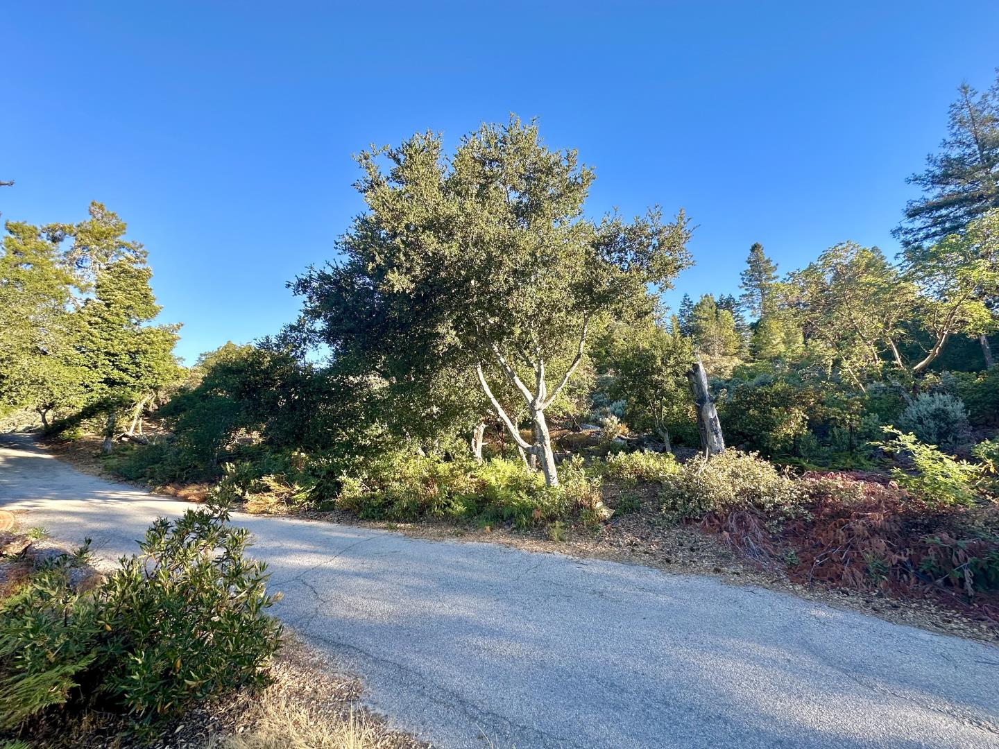 Front Image Thumbnail for ML81977847