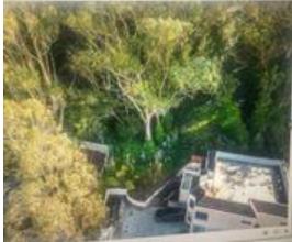 Front Image Thumbnail for ML81979073