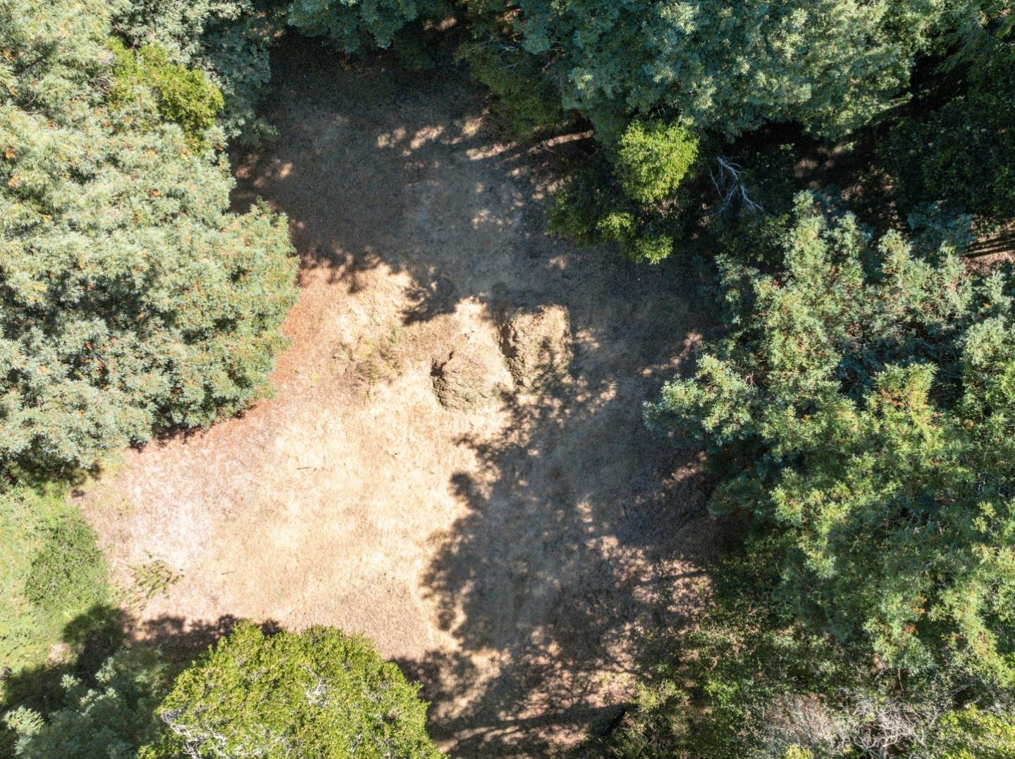 Front Image Thumbnail for ML81979560