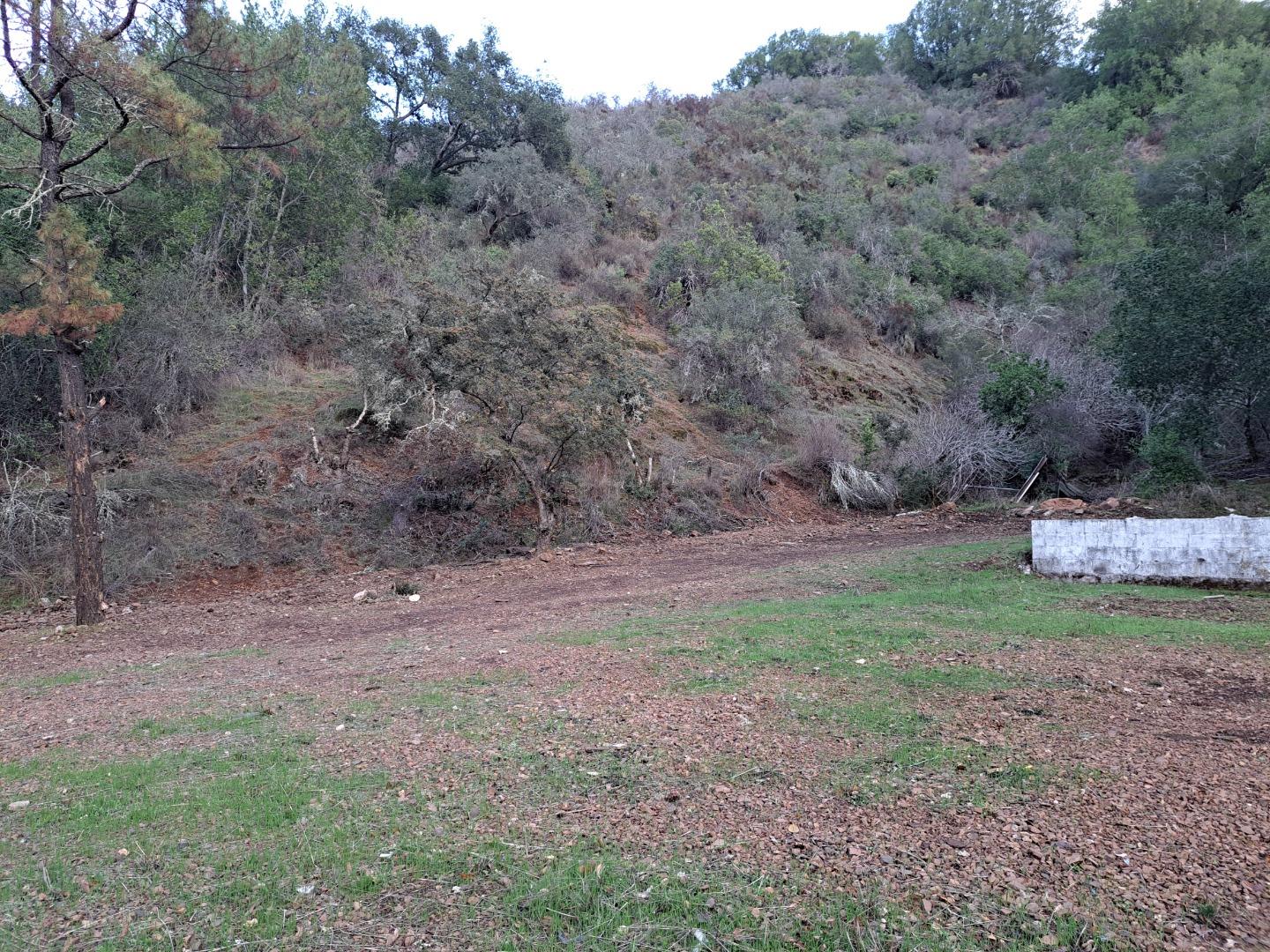 Front Image Thumbnail for ML81980361