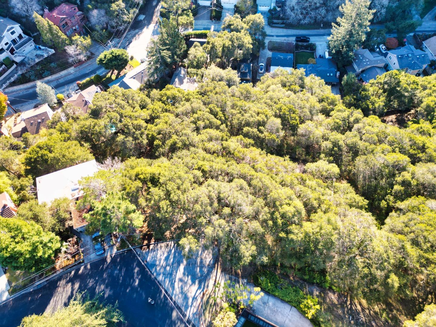 Front Image Thumbnail for ML81985036