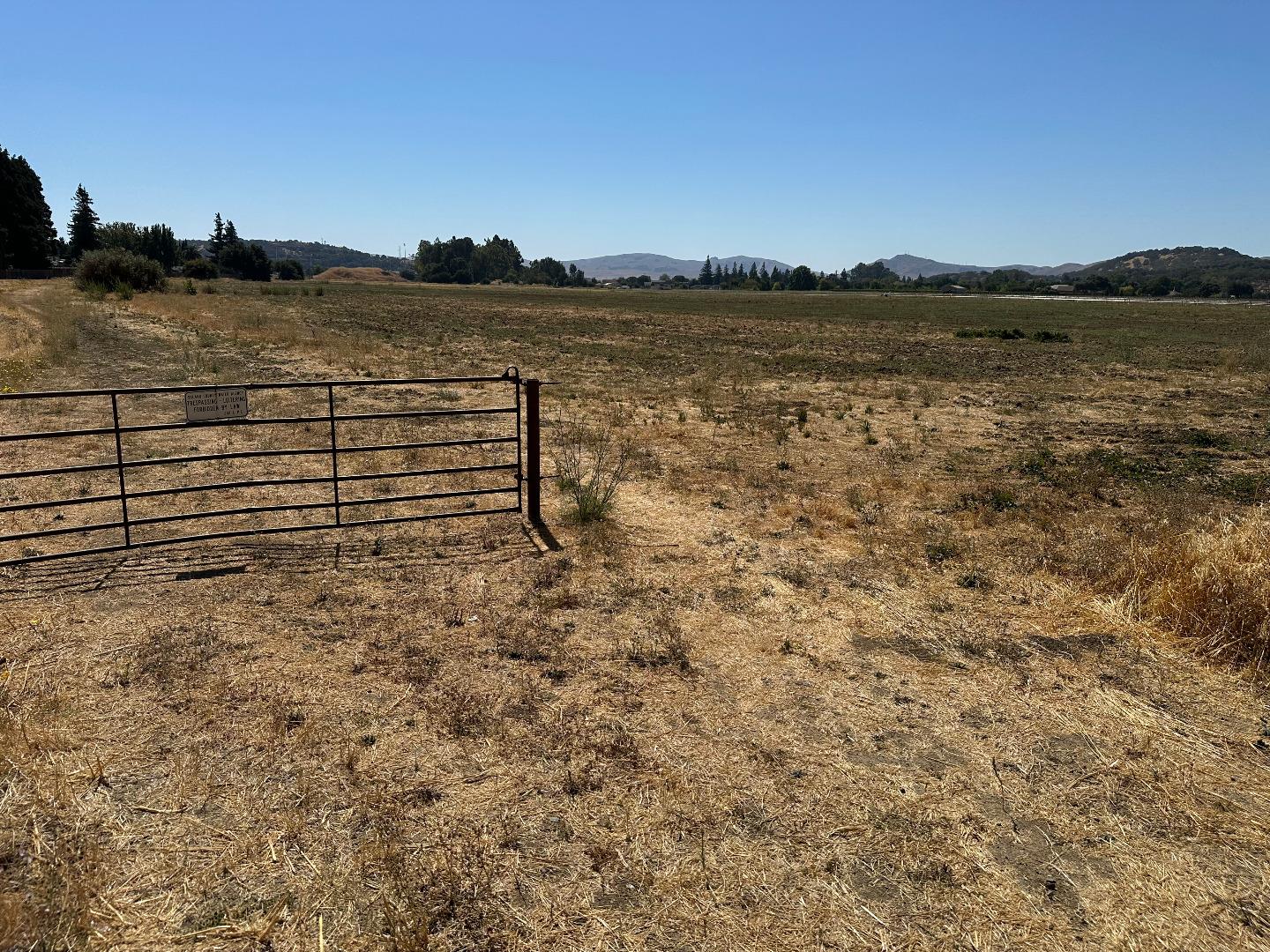 Front Image Thumbnail for ML81987070