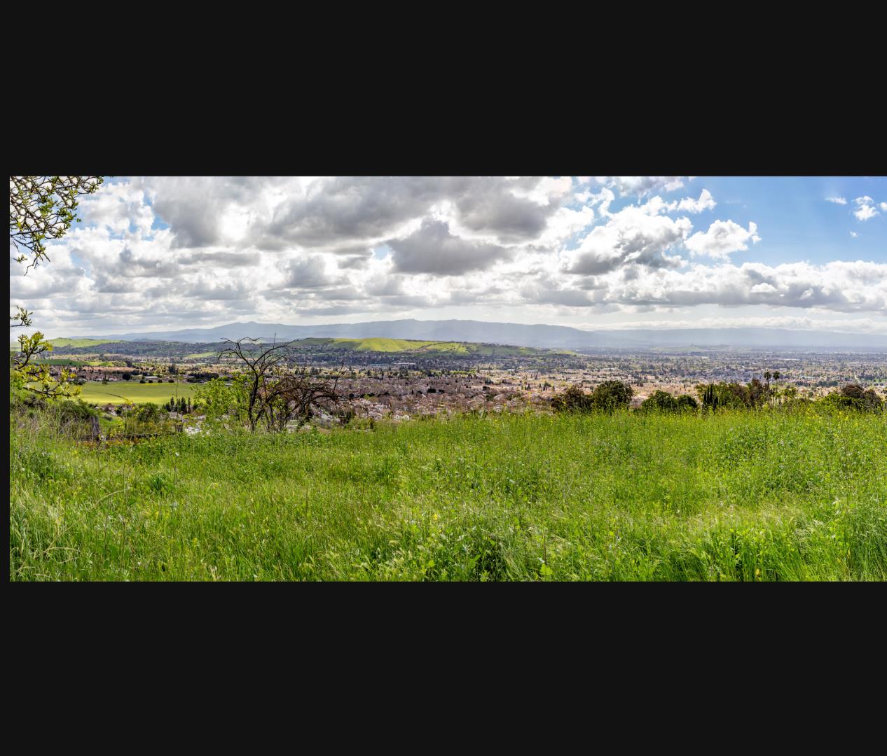 Front Image Thumbnail for ML81987192