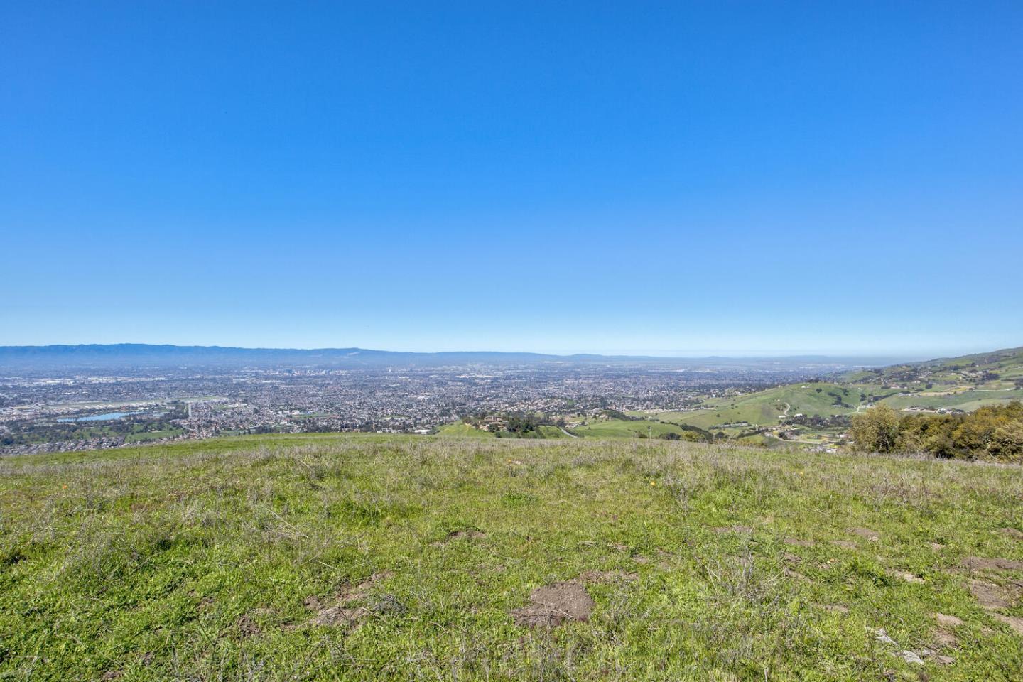 Front Image Thumbnail for ML81987320