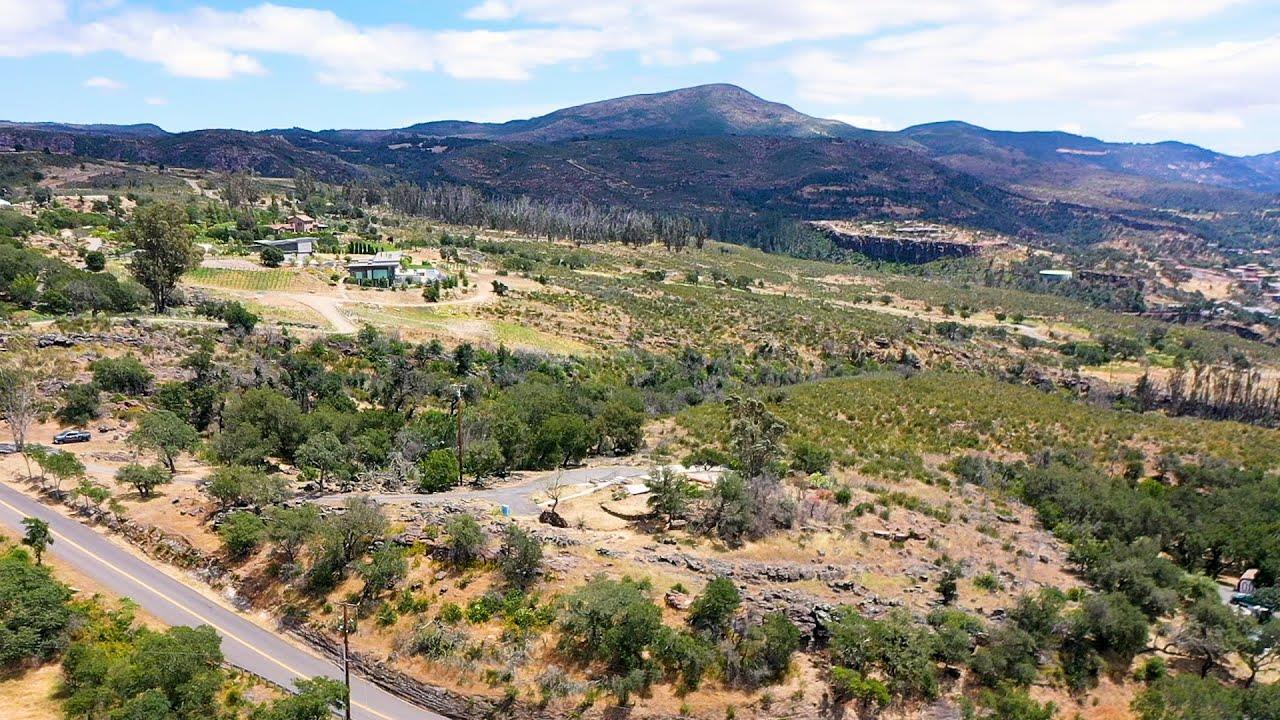 Front Image Thumbnail for ML81987530