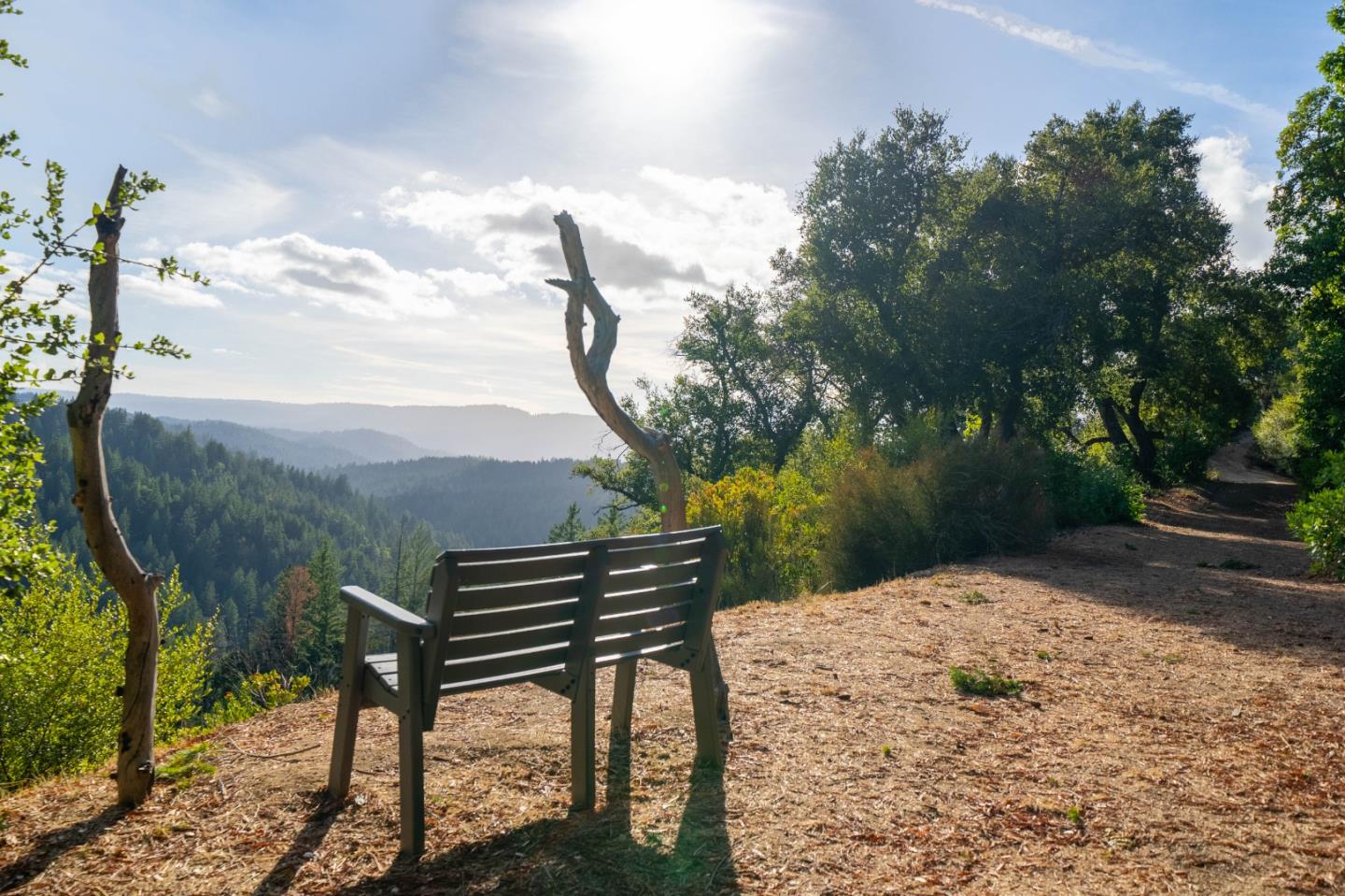 Front Image Thumbnail for ML81987933