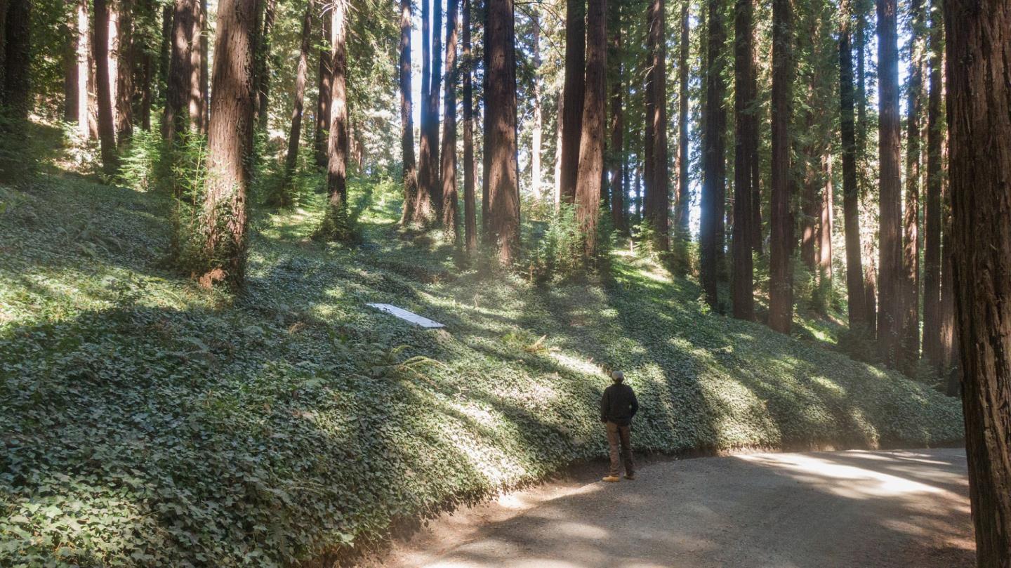 Front Image Thumbnail for ML81988191