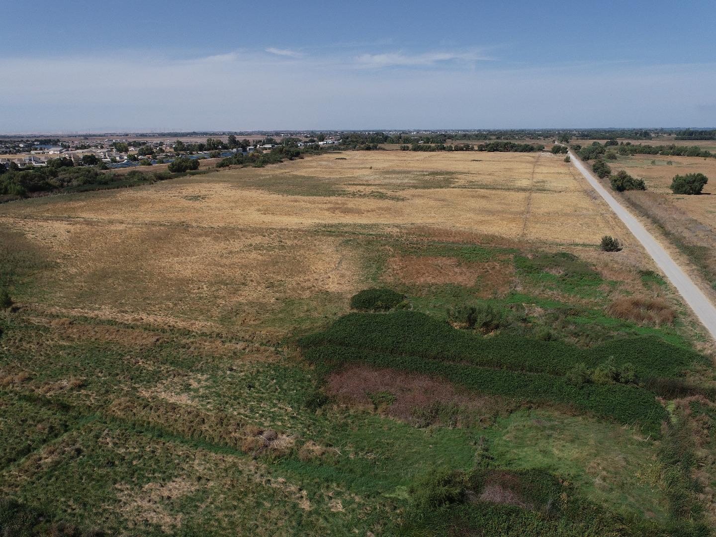 Front Image Thumbnail for ML81989416