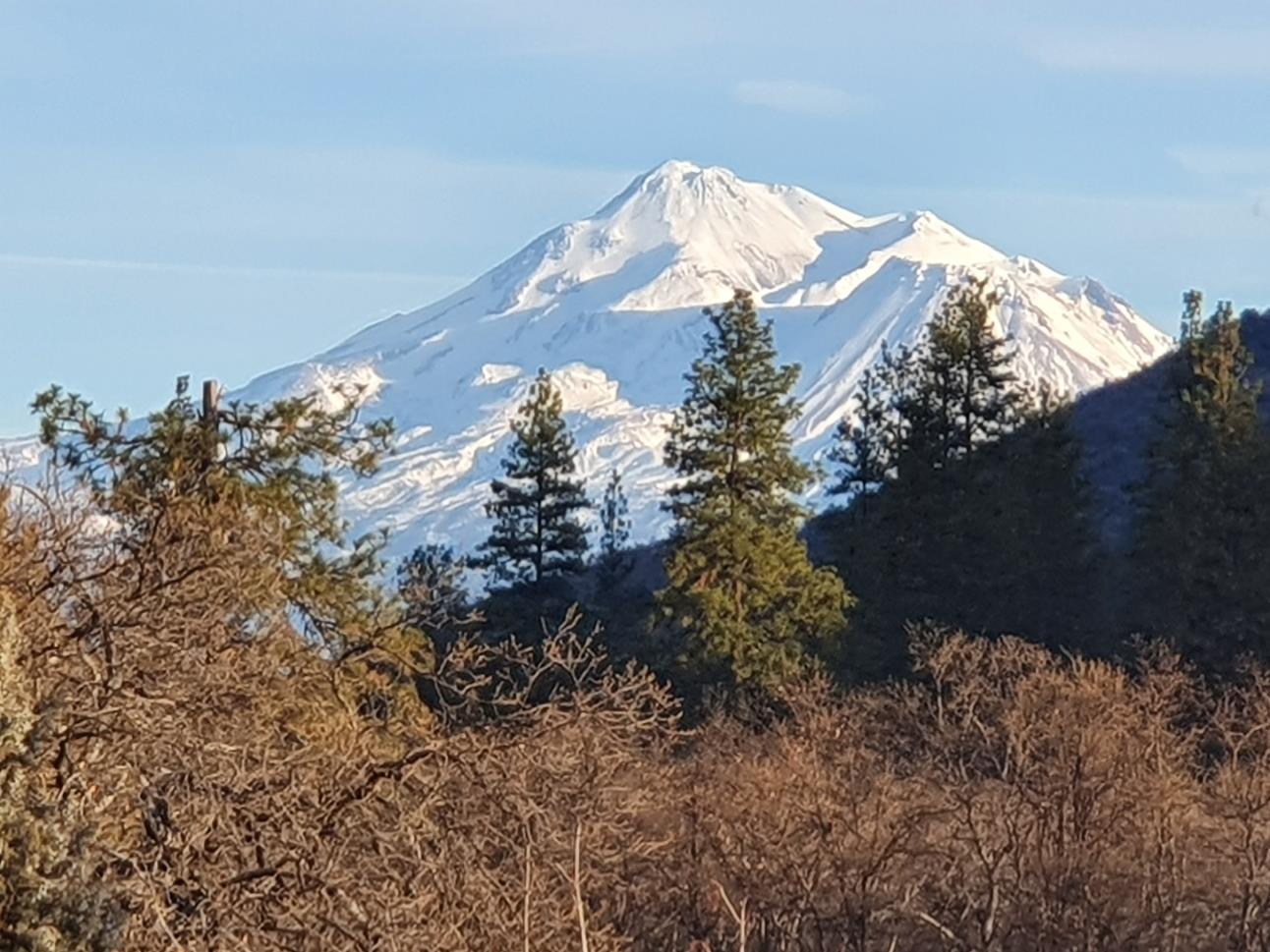 Front Image Thumbnail for ML81990982