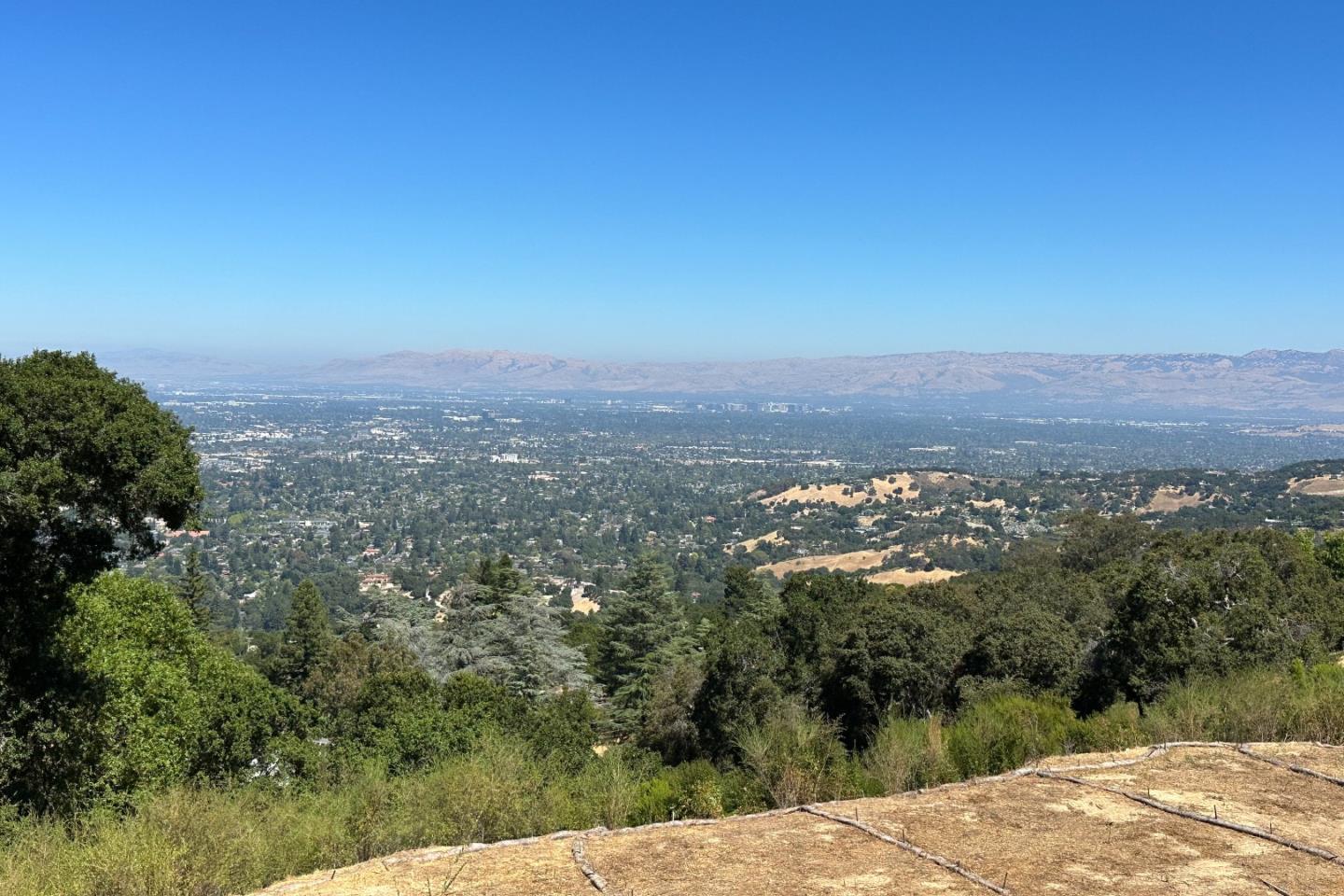 Front Image Thumbnail for ML81991145