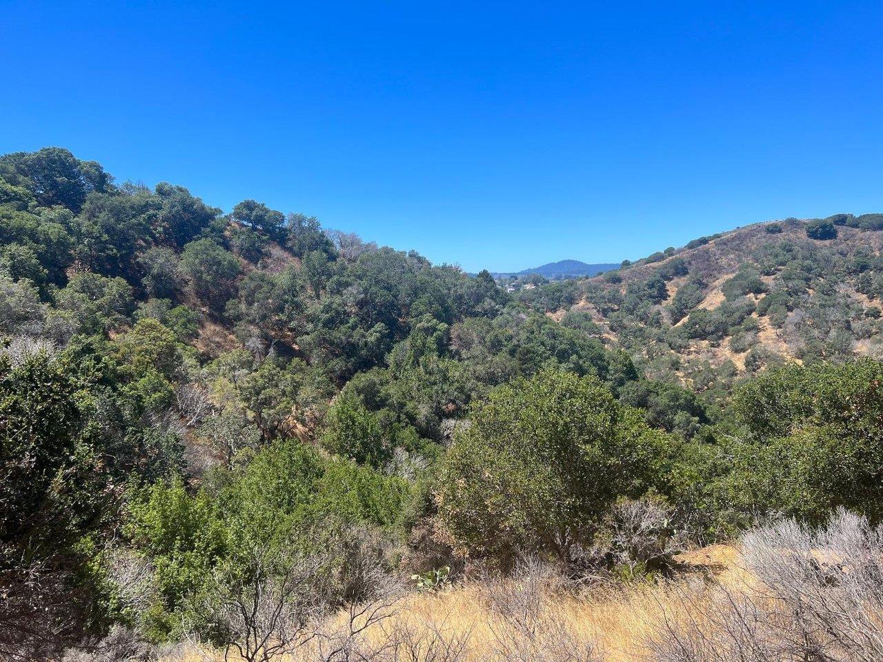 Front Image Thumbnail for ML81991279