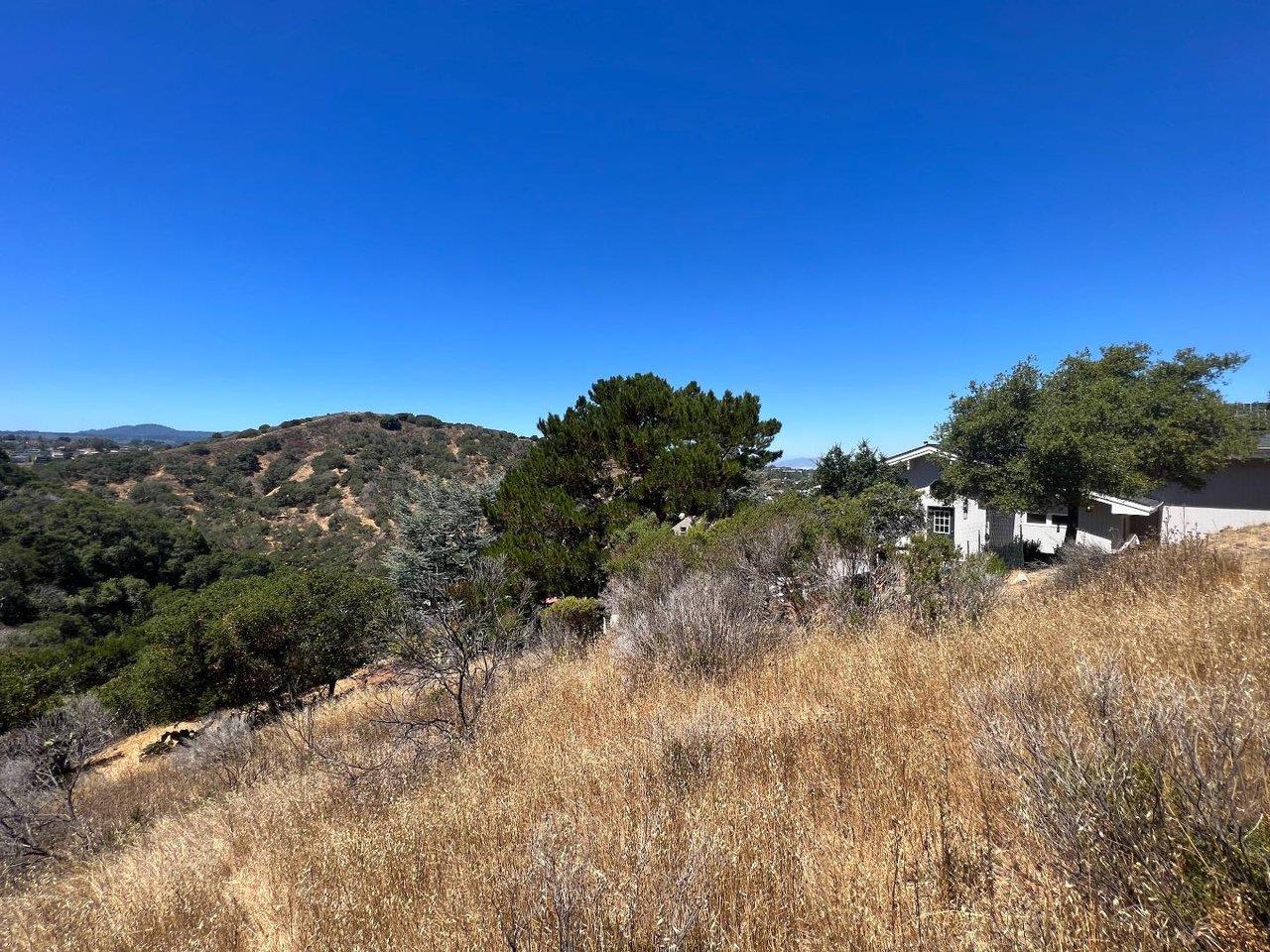 Front Image Thumbnail for ML81991283