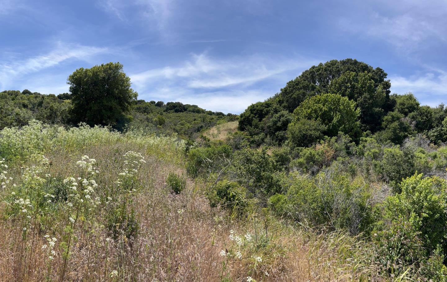 Front Image Thumbnail for ML81991310