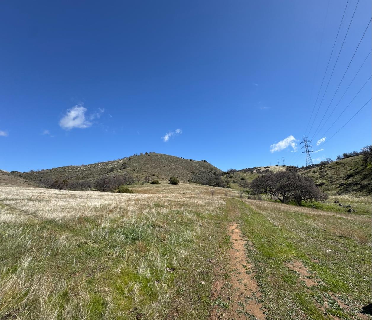 Front Image Thumbnail for ML81992024