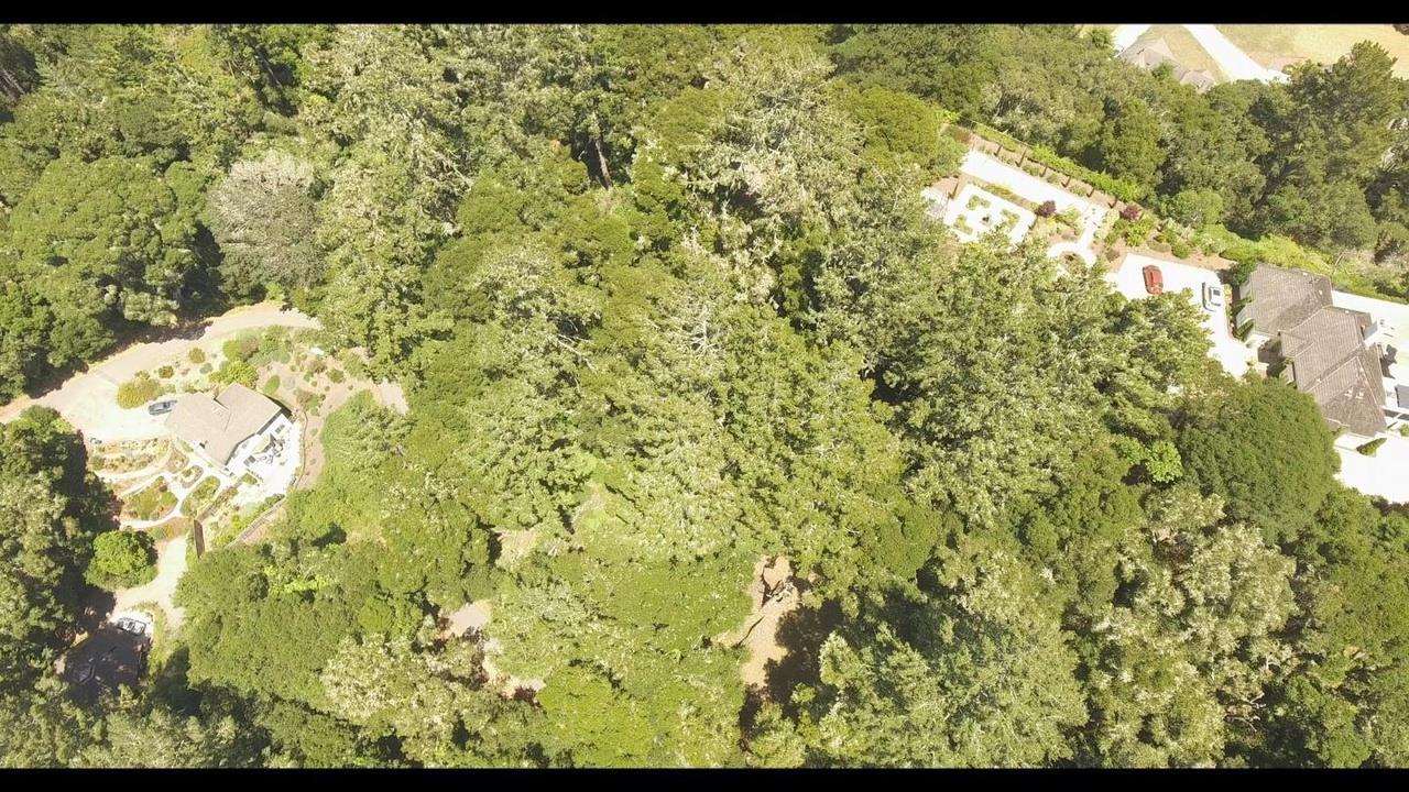 Front Image Thumbnail for ML81992152