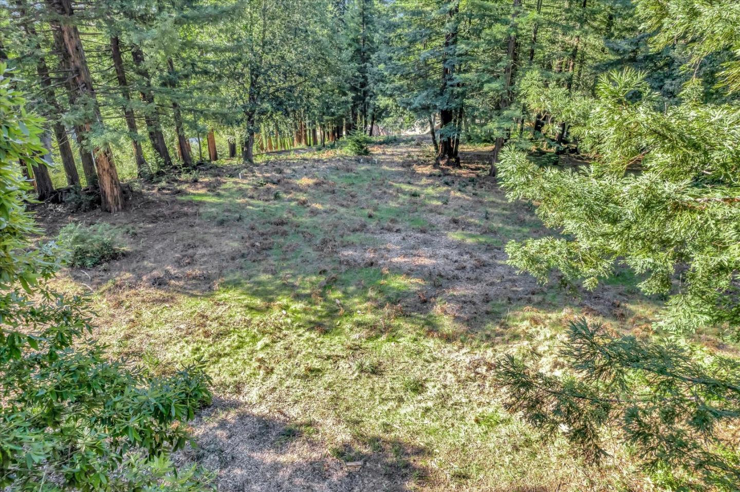 Front Image Thumbnail for ML81992698