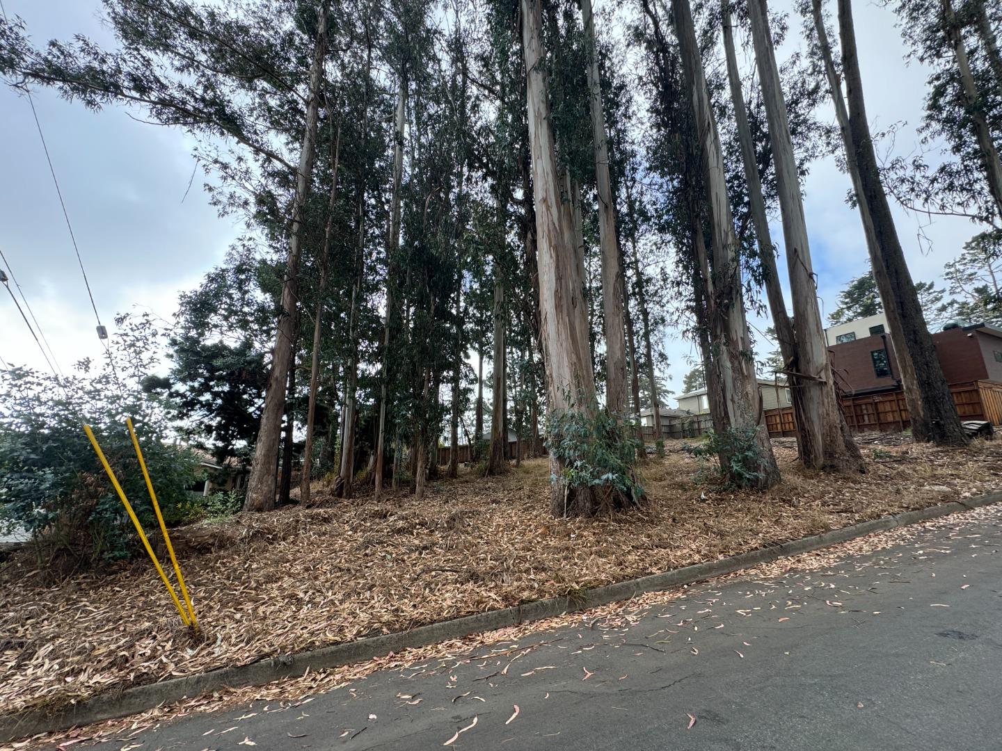 Front Image Thumbnail for ML81992818