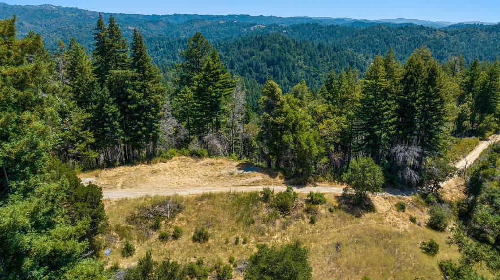 Front Image Thumbnail for ML81994572