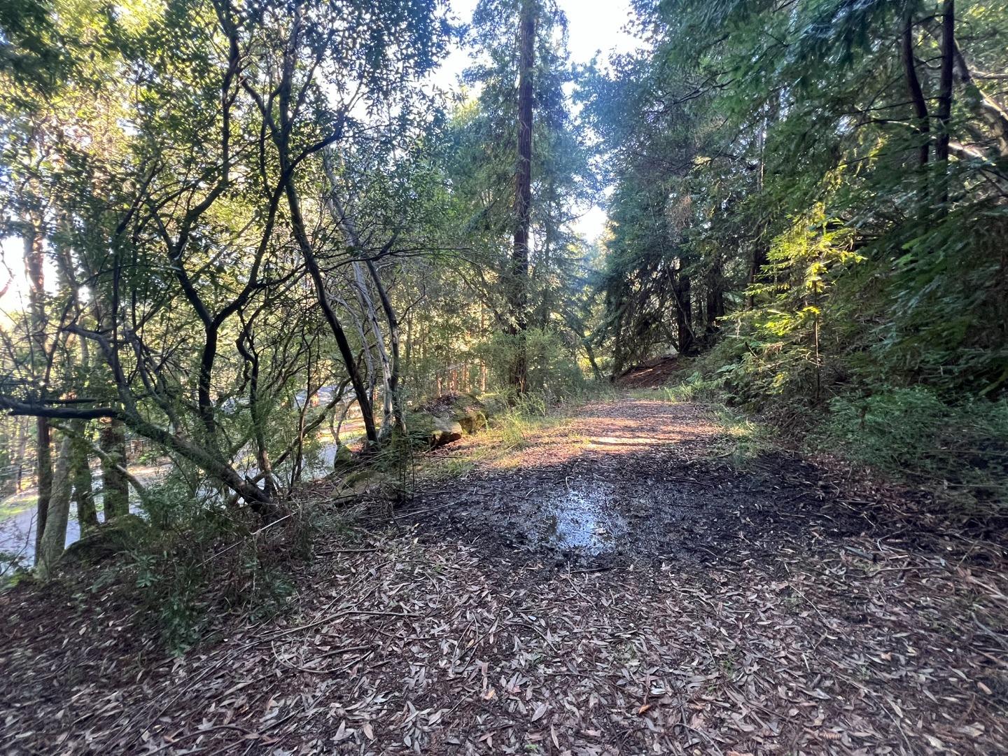 Front Image Thumbnail for ML81995474