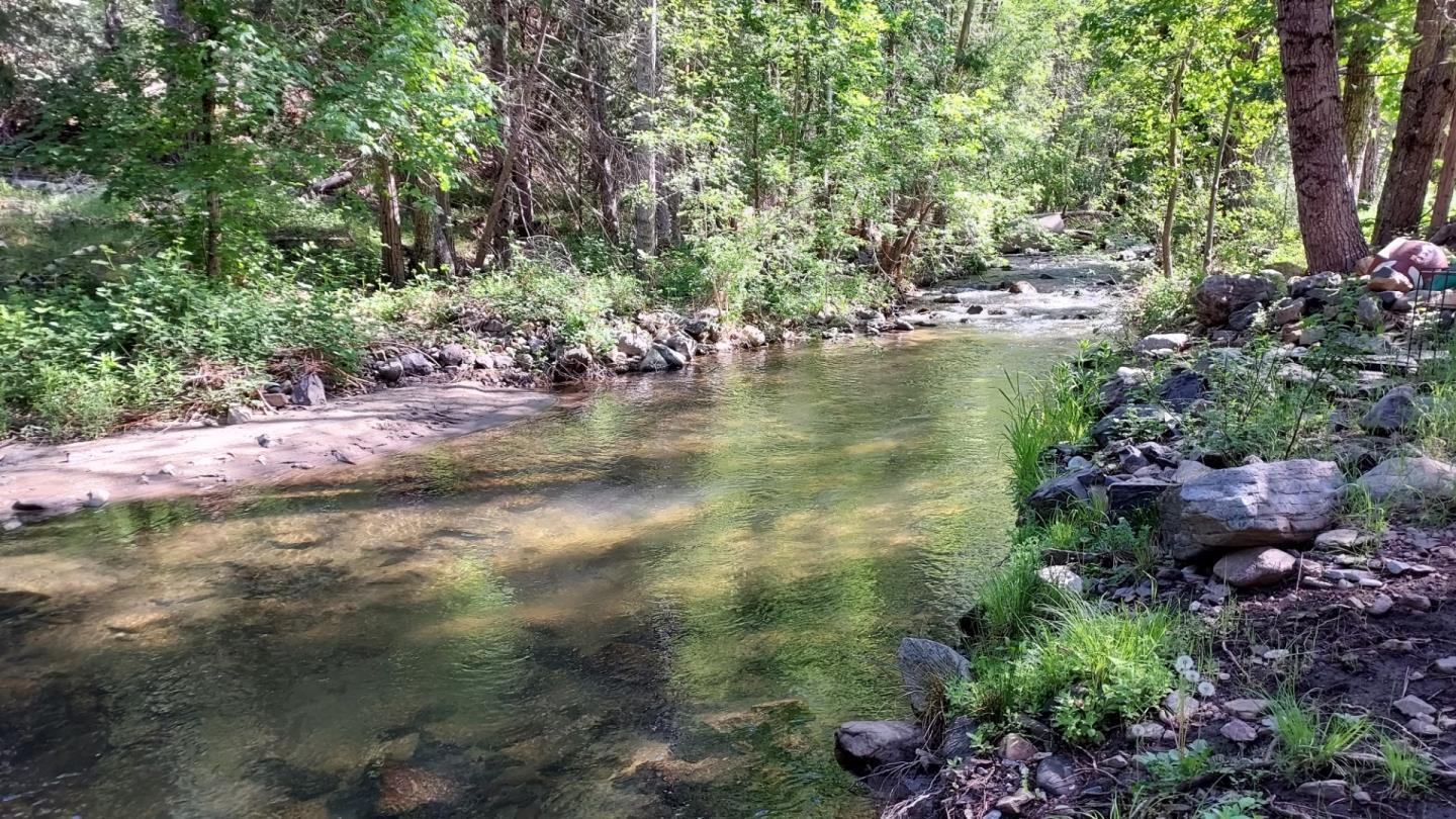 Front Image Thumbnail for ML81995581