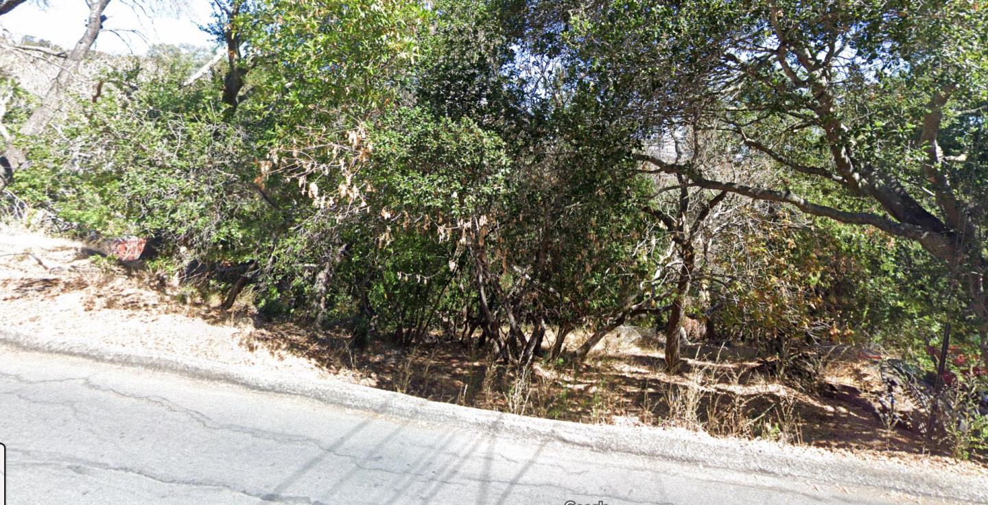 Front Image Thumbnail for ML81996843