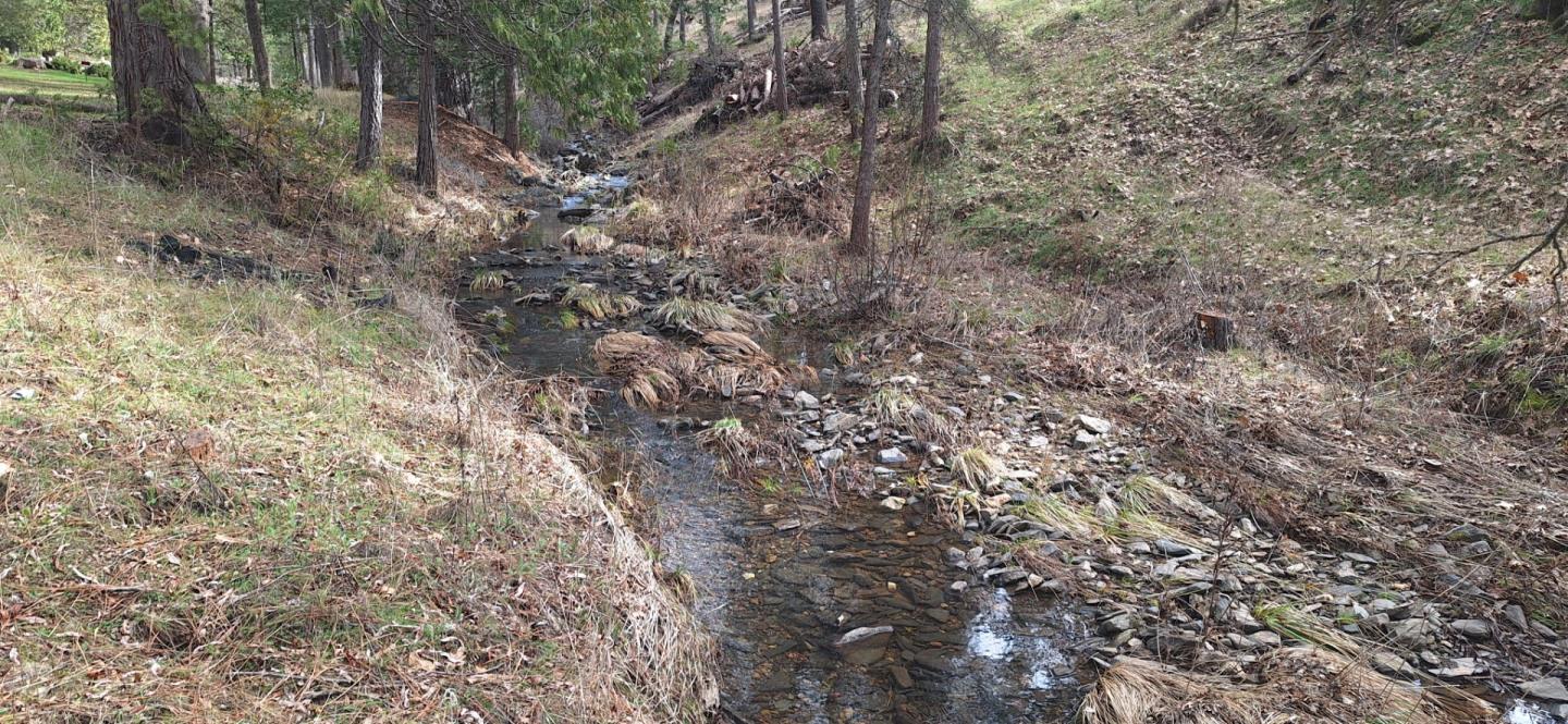 Front Image Thumbnail for ML81996909