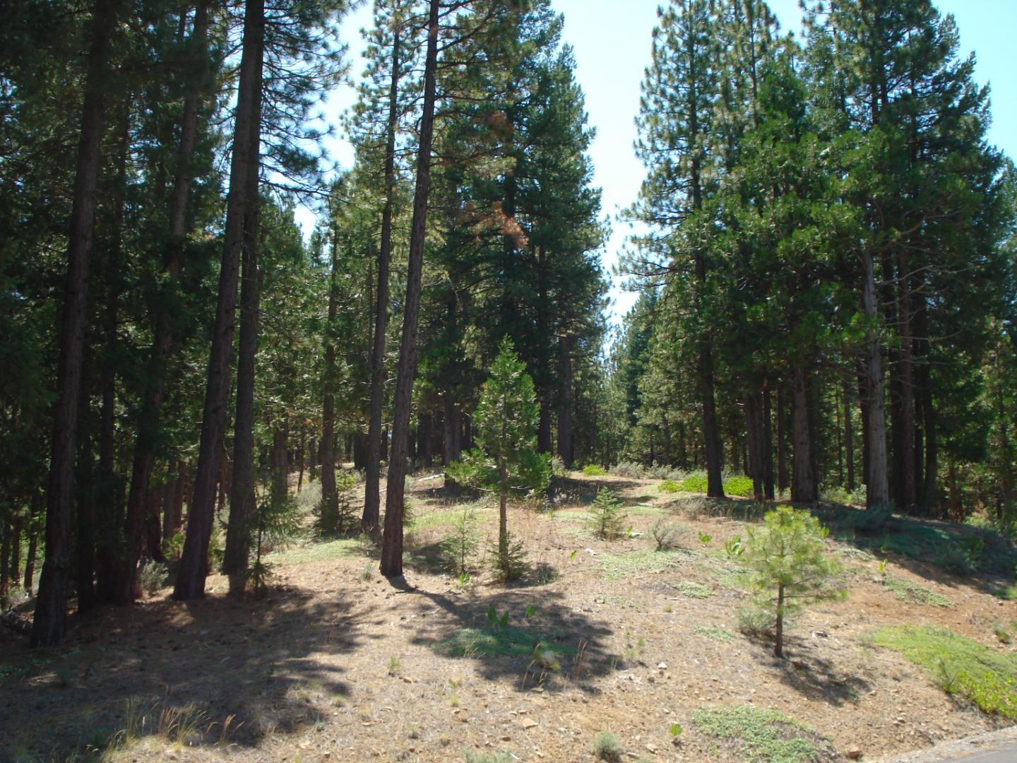 Front Image Thumbnail for ML81998486