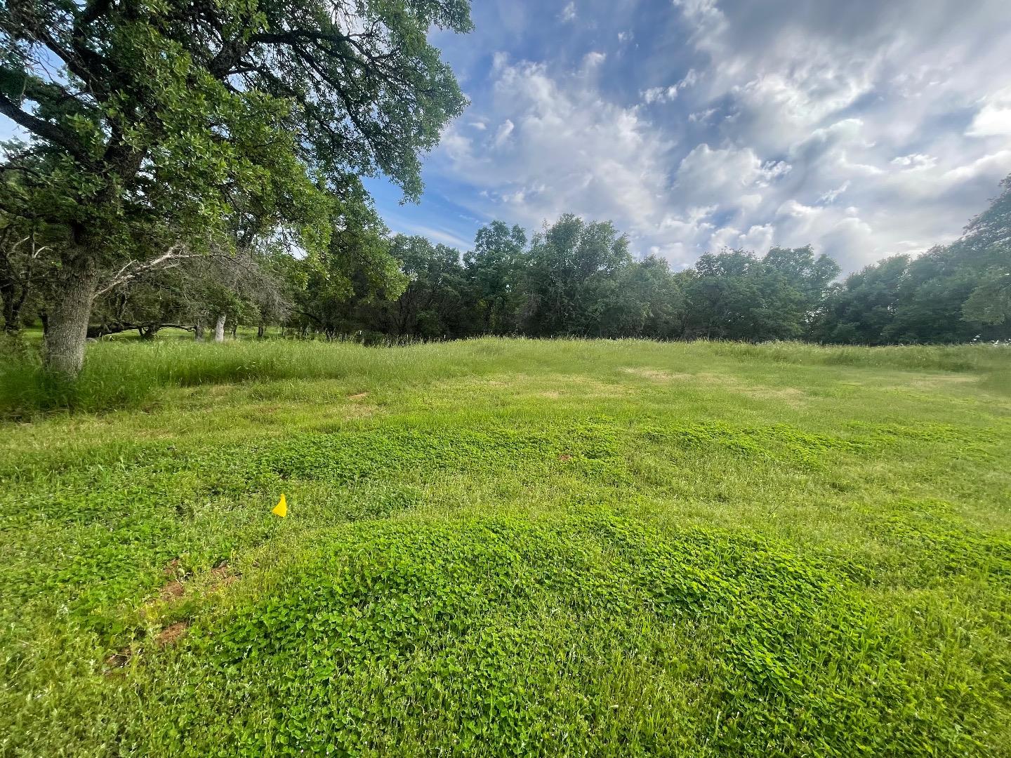 Front Image Thumbnail for ML81999720