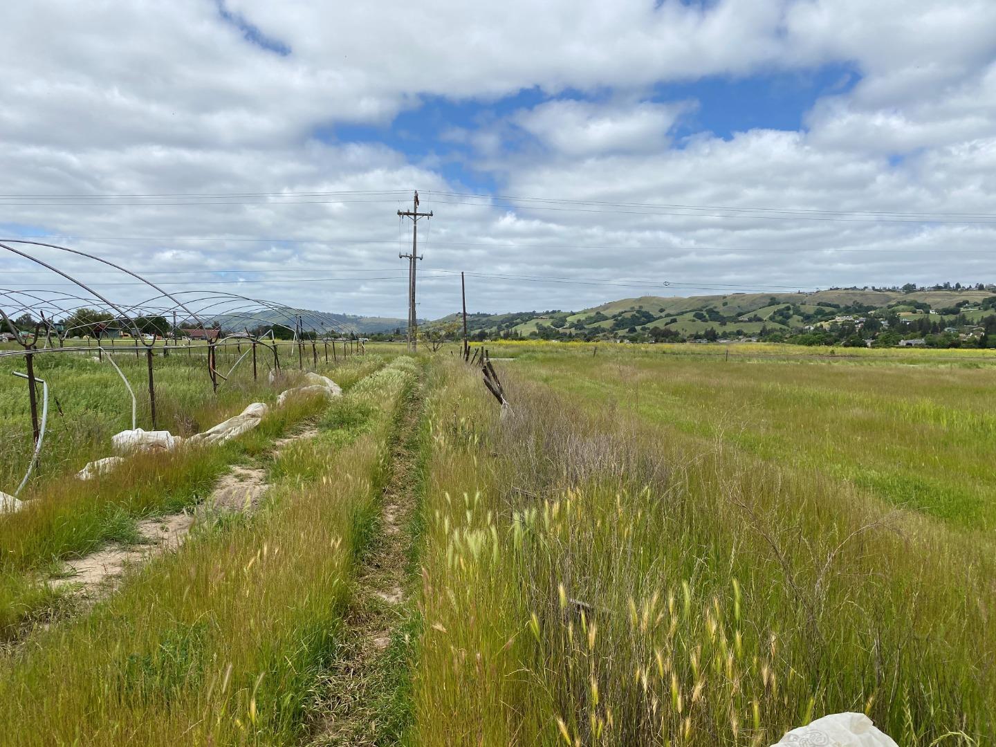 Front Image Thumbnail for ML81999825