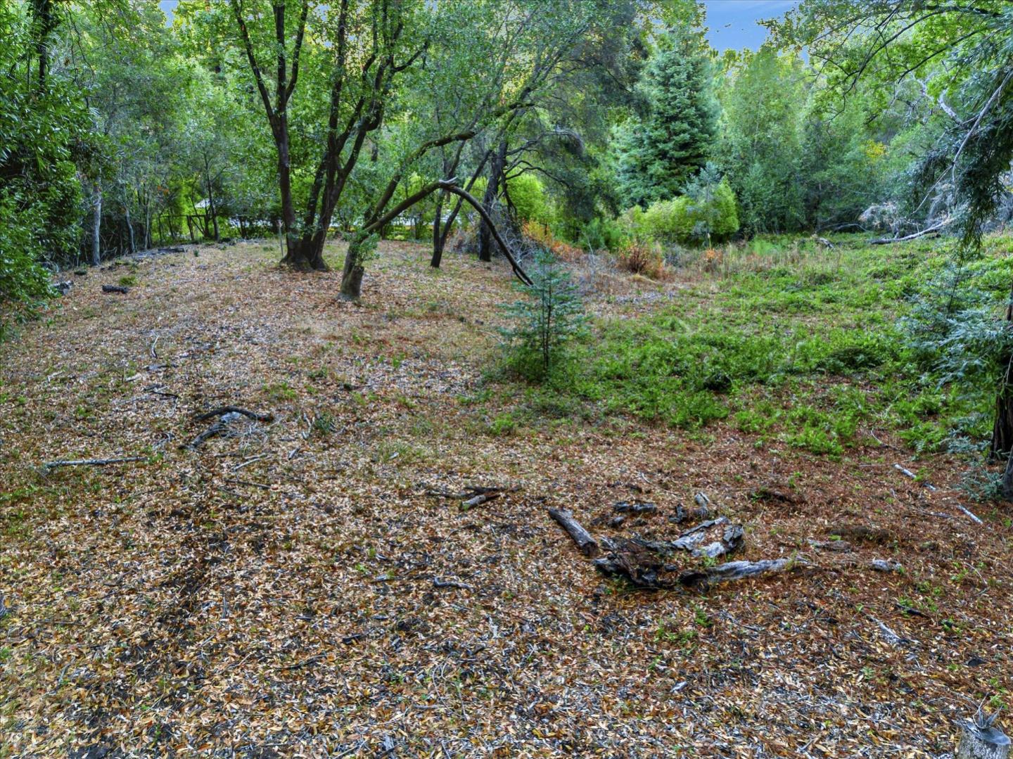 Front Image Thumbnail for ML82000184