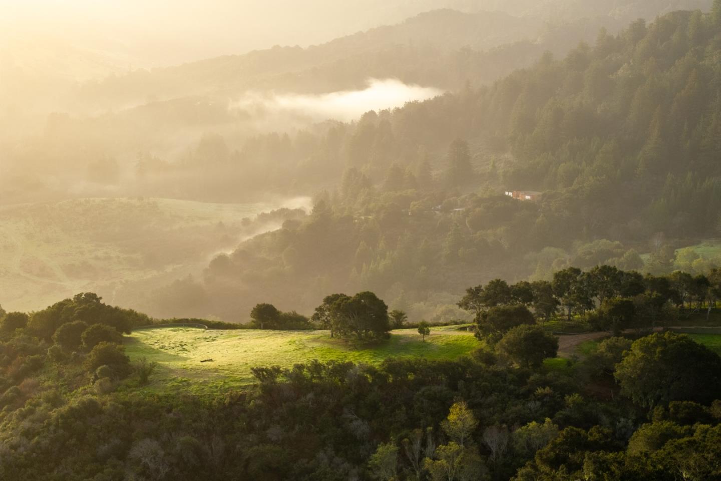 Front Image Thumbnail for ML82001735