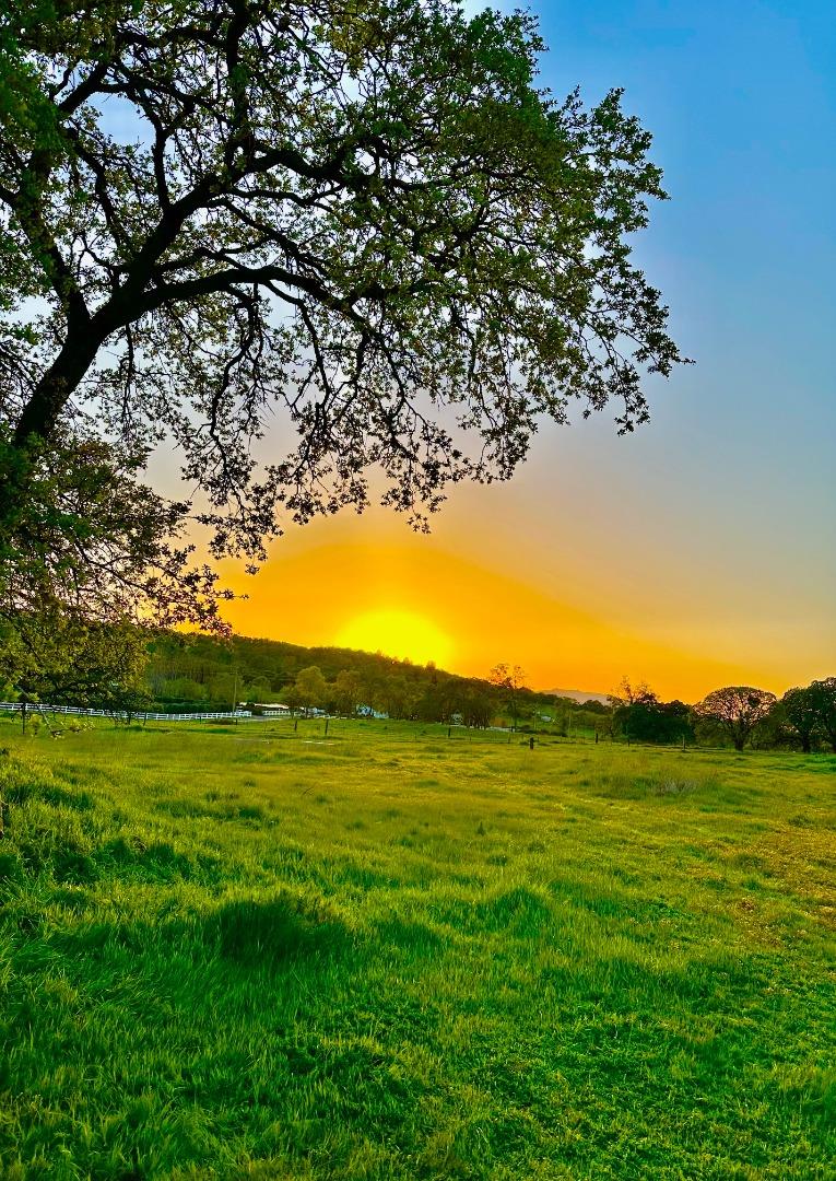 Front Image Thumbnail for ML82001844